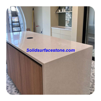 Solid Surface Panel
